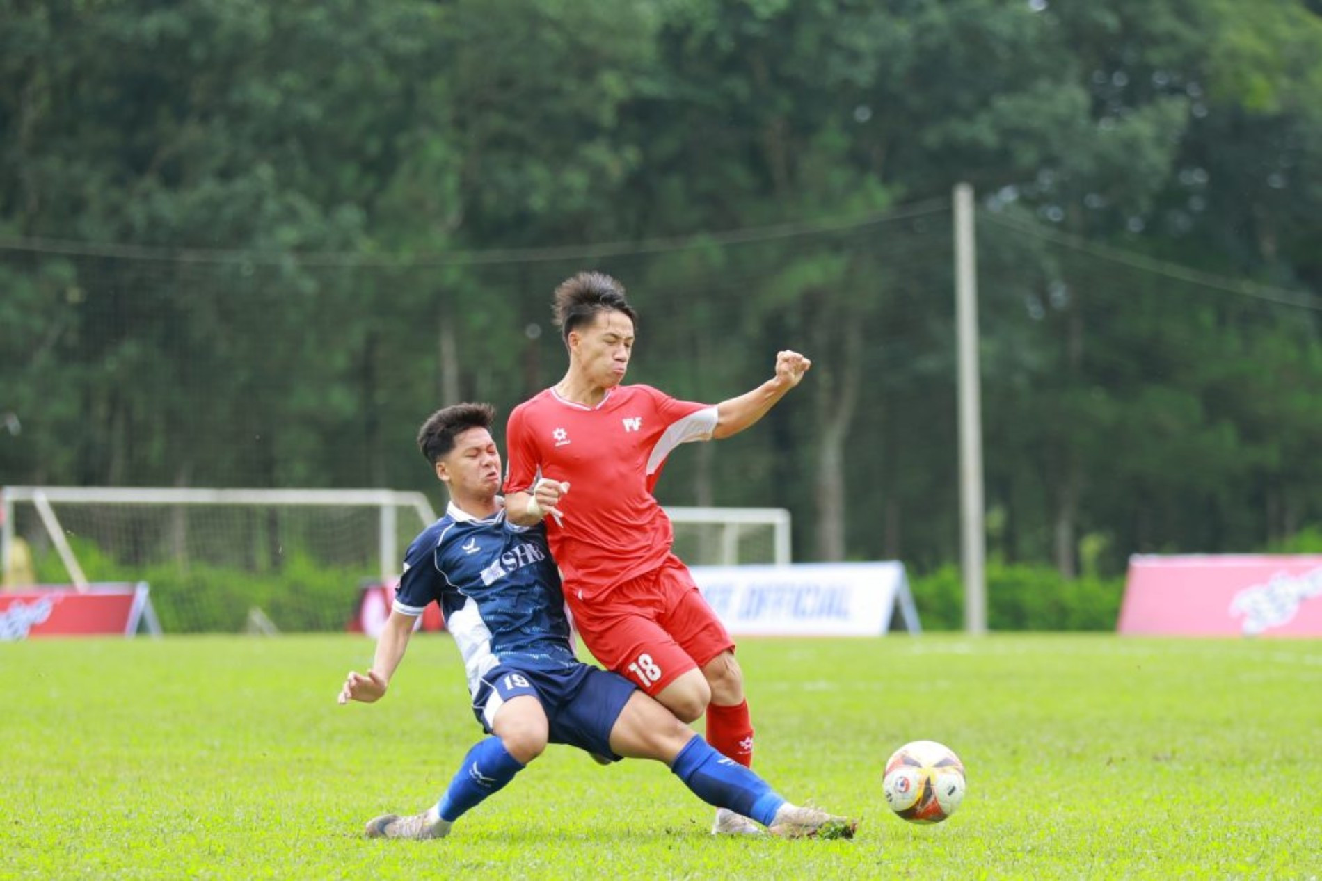 U17PVF.jpg