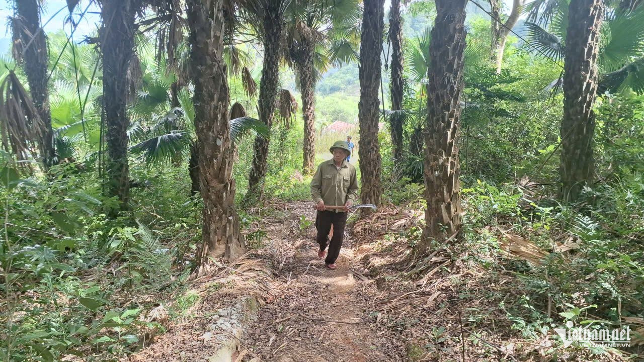 W-anh 2.jpg