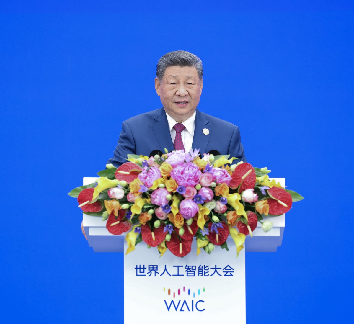 ông Tập Cận Bình xinhua