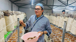 Dai Nghia.jpg