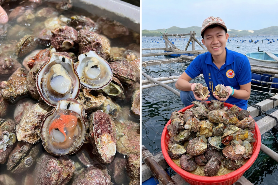 Sản vật có từ Nam ra Bắc, giá vài chục nghìn/kg, ăn ngọt ngon không kém tôm cua