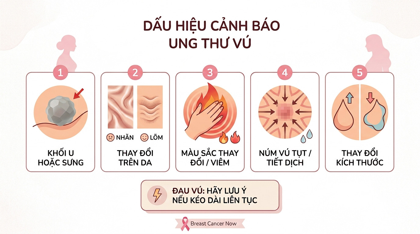 ung thu vu 1.jpg