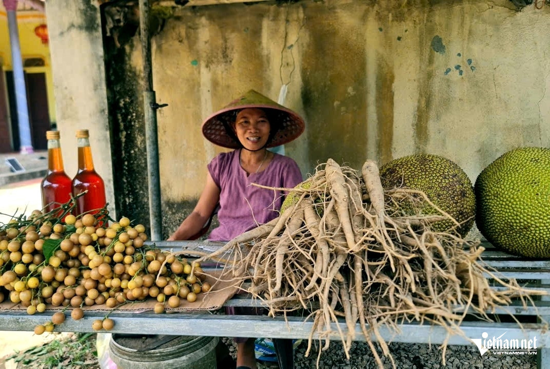 W-a5Không mất tiền giống.jpg