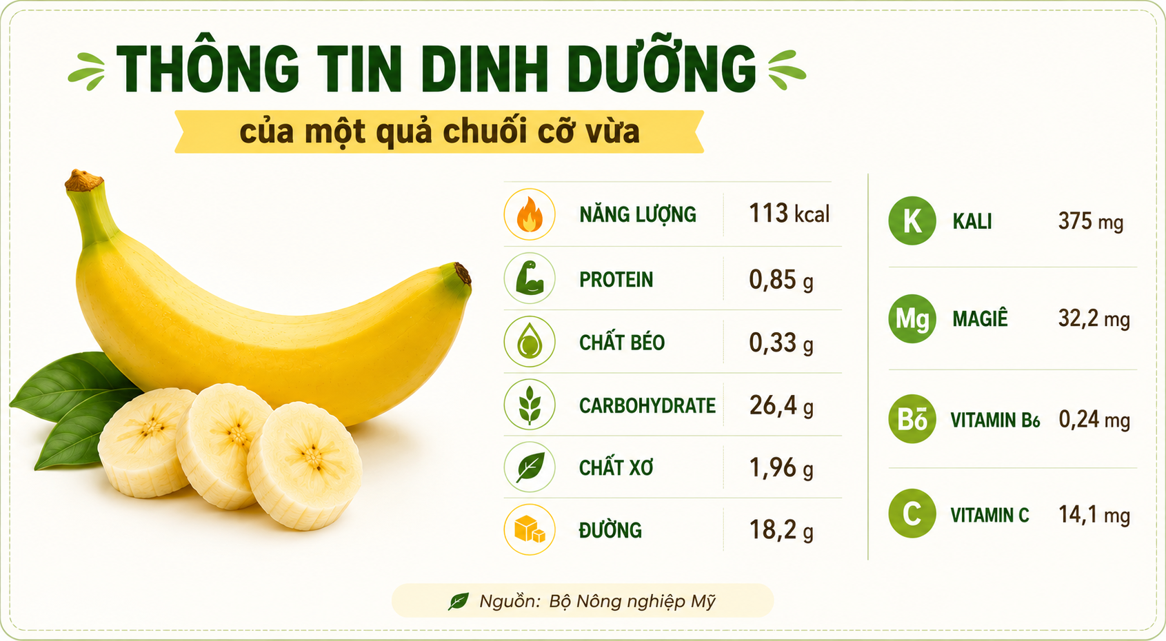 Info Chuoi chin.png