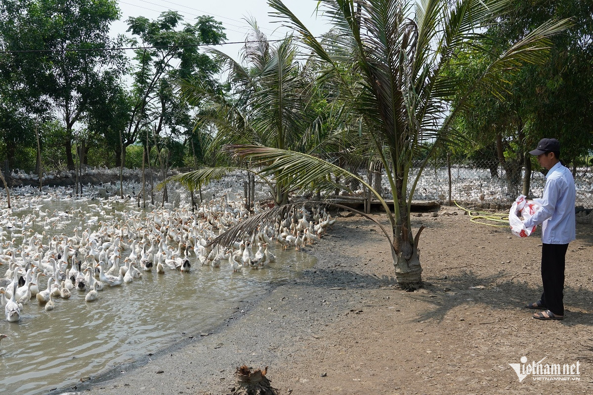 W-ảnh 6.JPG.jpg