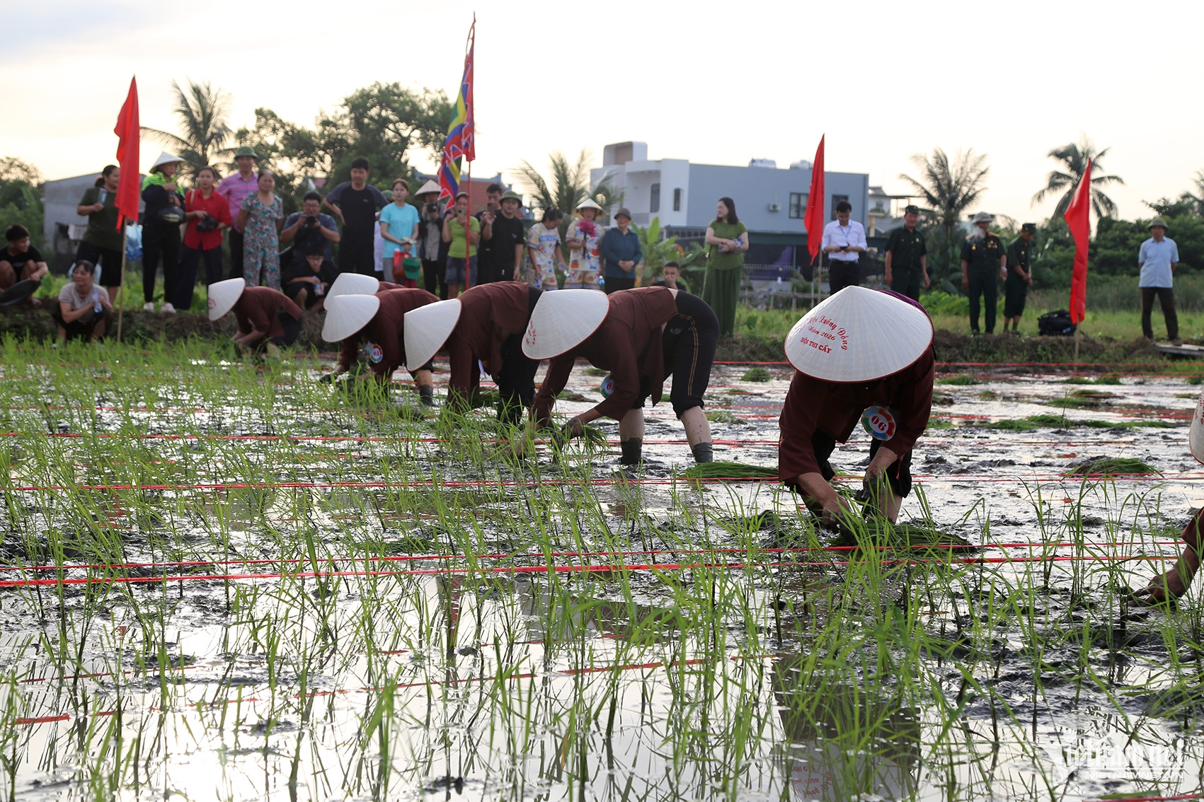 W-Ảnh 7.JPG.jpg