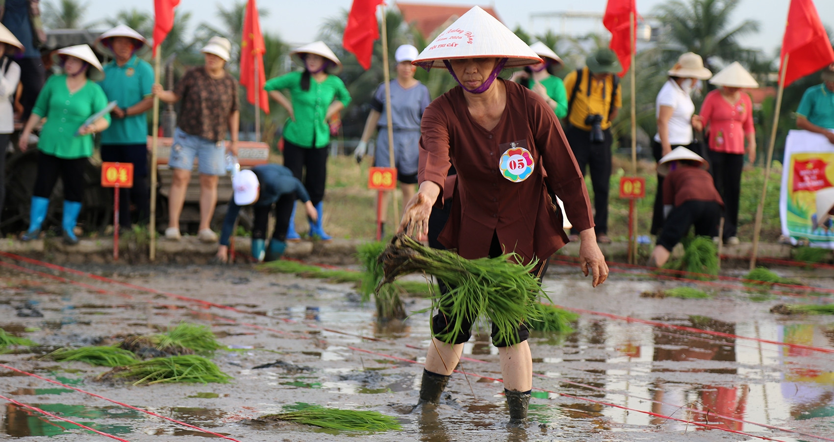 Xem nông dân đảo Hà Nam thi cấy vụ mùa mới