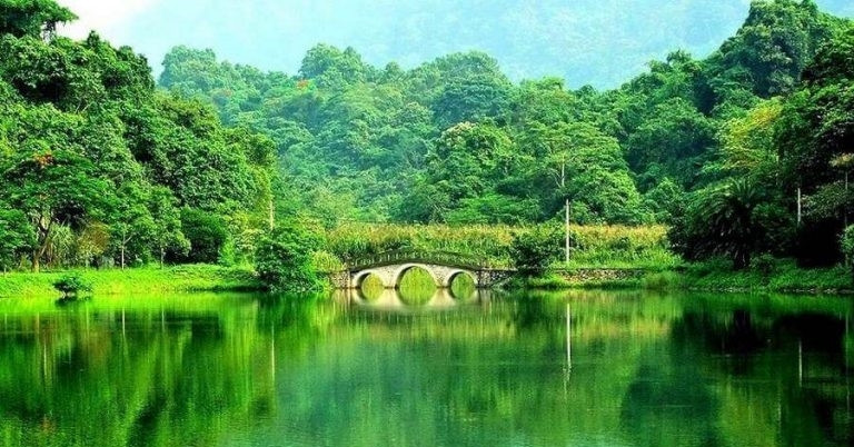 Bộ NN&amp;amp;MT muốn tiếp tục quản lý 4 vườn quốc gia Cúc Phương, Tam Đảo, Bạch Mã, Yok Đôn