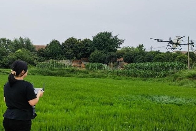Bỏ phố về quê, cô gái dùng drone làm nông giúp hơn 300 hộ dân đổi đời