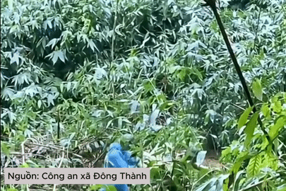 Vụ người đàn ông 90 tuổi lạc trong rừng: Xuyên đêm tìm, phát hiện nạn nhân nấp sau bụi rậm