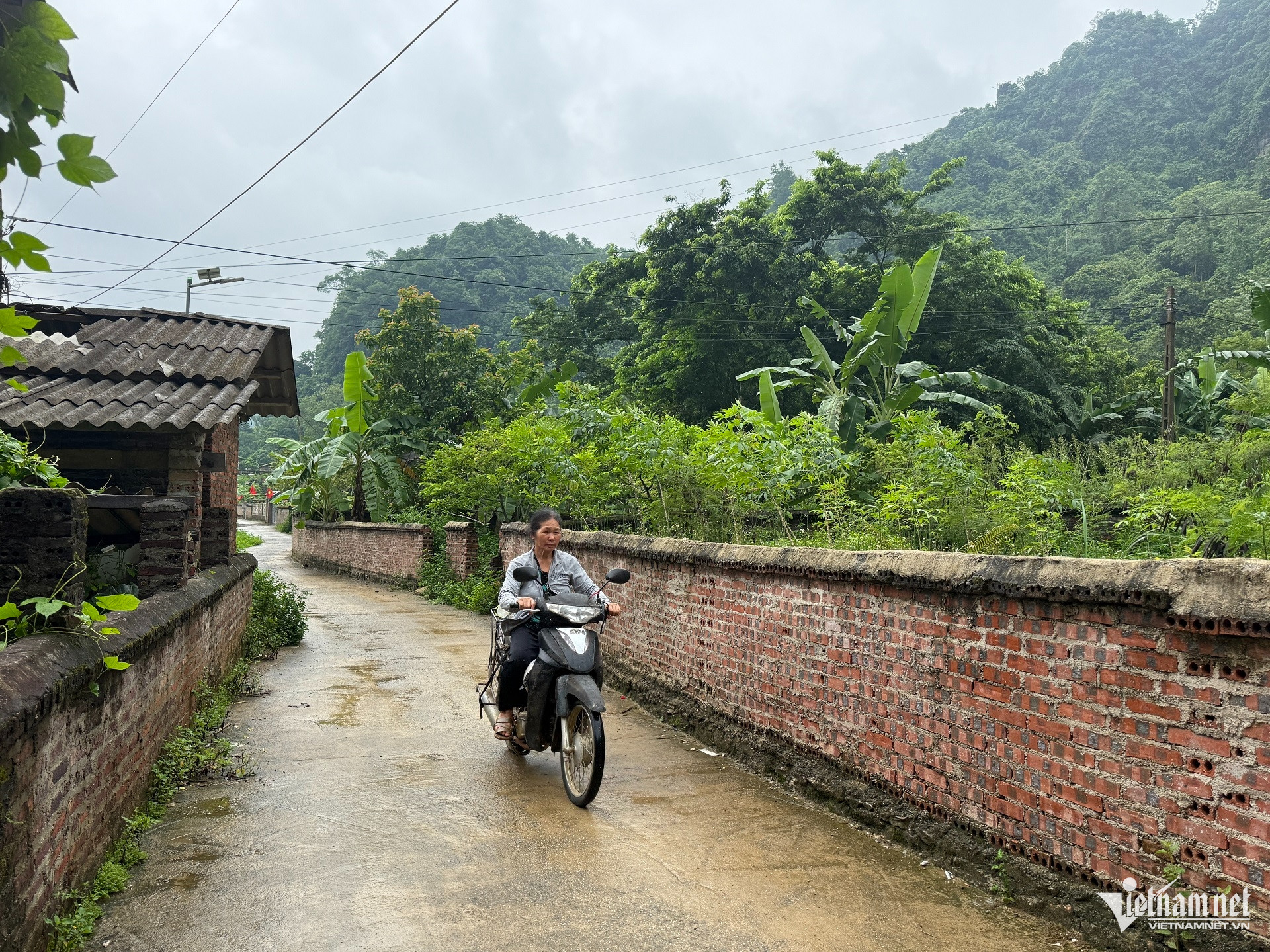 Box https://static-images.vnncdn.net/vps_images_publish/000001/000003/2026/7/2/w-nong-thon-moi-1-2366.jpg