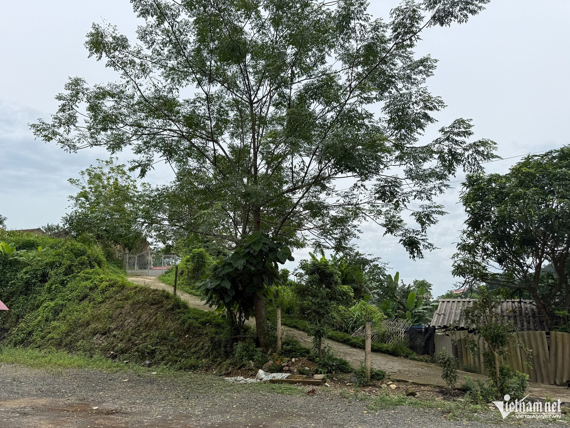 Box https://static-images.vnncdn.net/vps_images_publish/000001/000003/2026/7/2/w-xa-minh-khai-4-2395.jpg