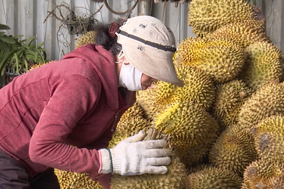 Đẩy mạnh truyền thông đa phương tiện về đổi mới sáng tạo, khởi nghiệp sáng tạo