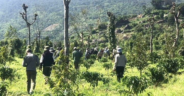 Huy động hàng trăm người và chó nghiệp vụ tìm kiếm thiếu niên 15 tuổi mất tích