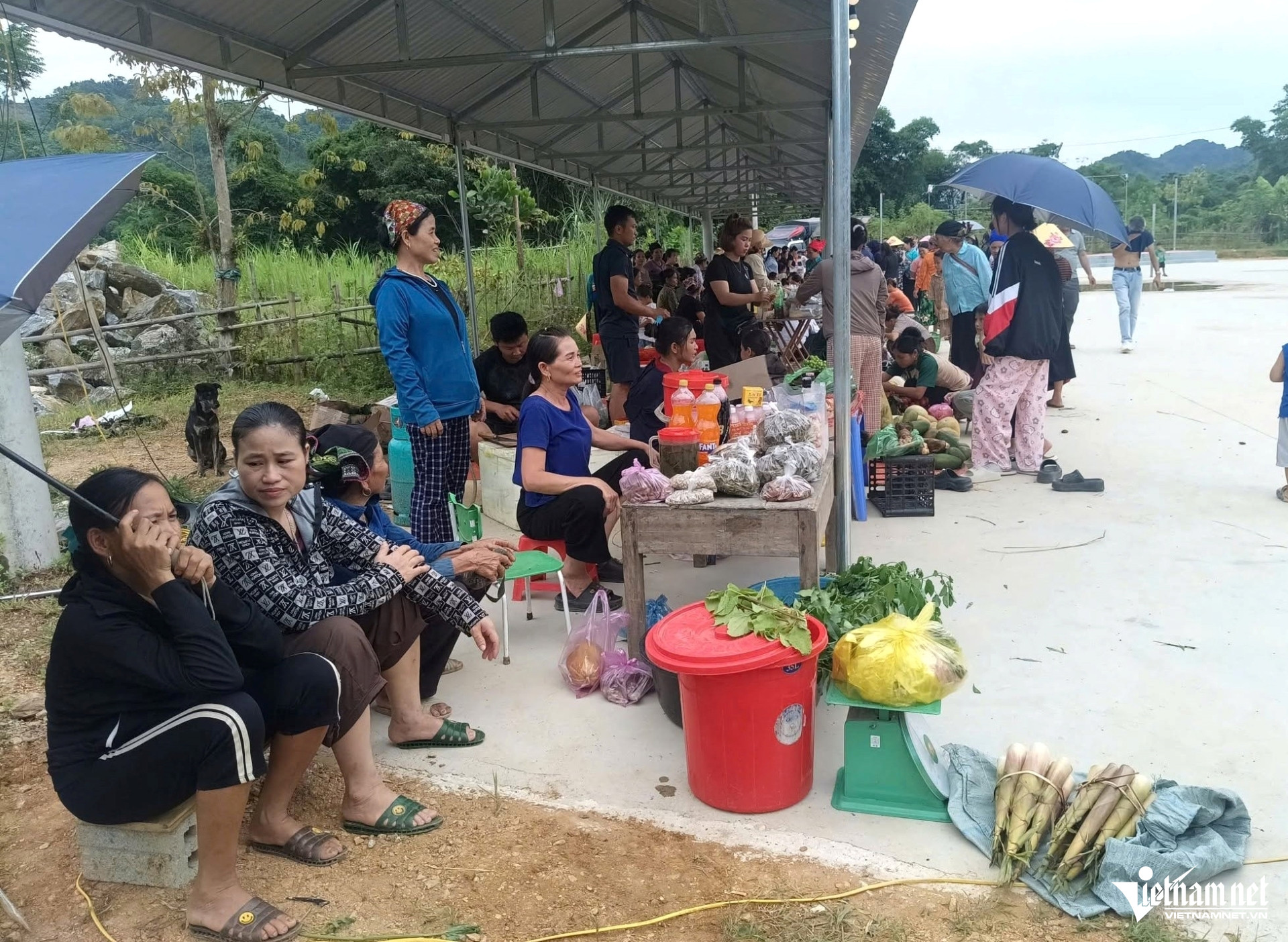 W-a2tạo sinh kế bền vững ở vùng cao.jpg