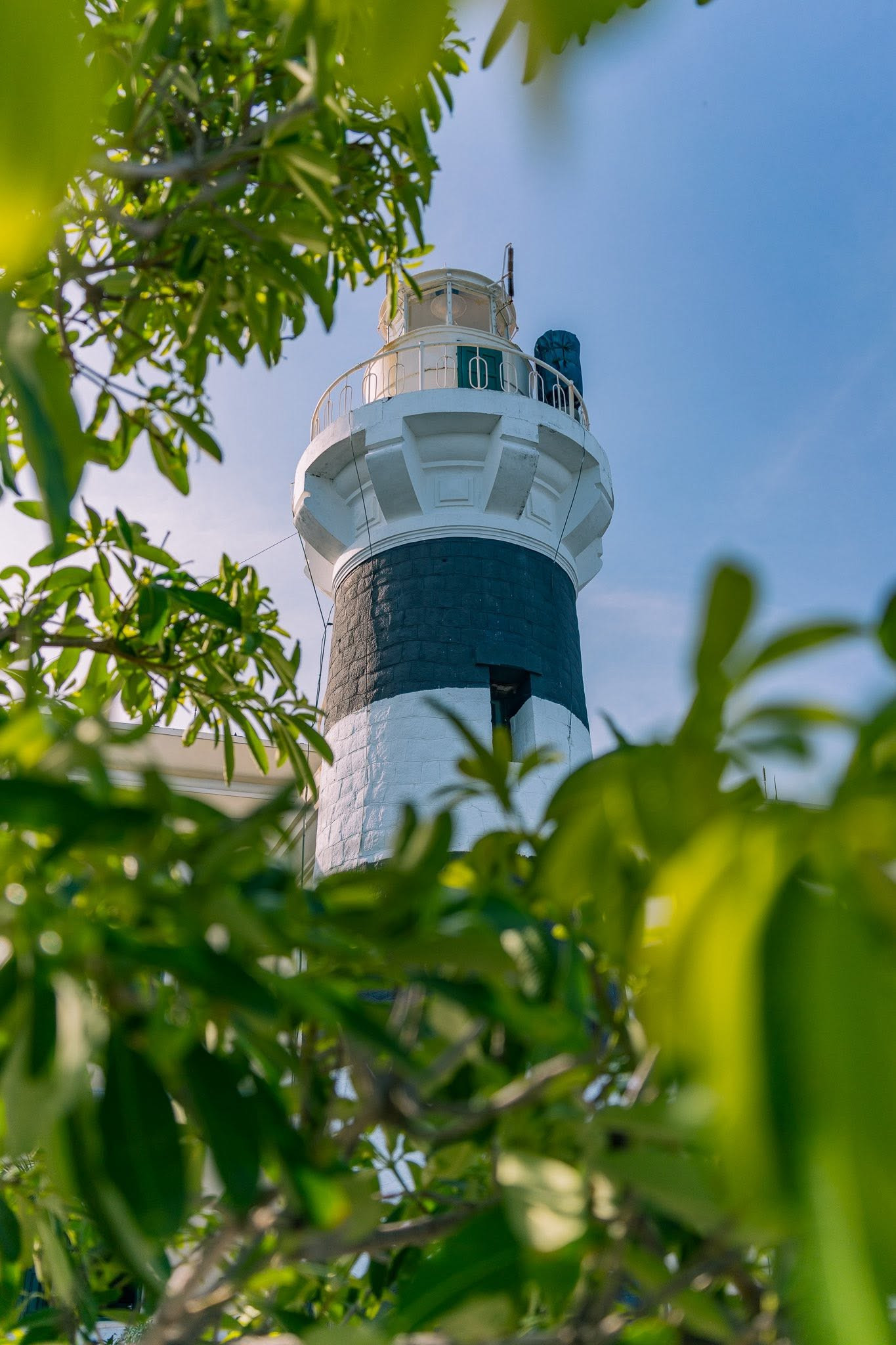 https://static-images.vnncdn.net/vps_images_publish/000001/000003/2026/7/22/dao-bich-dam-2397.jpg
