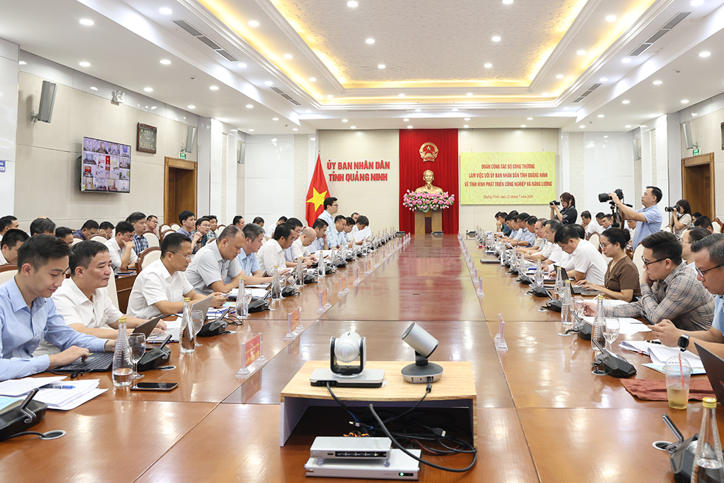EVNNPT đề xuất giải pháp thúc đẩy tiến độ truyền tải điện tại Quảng Ninh