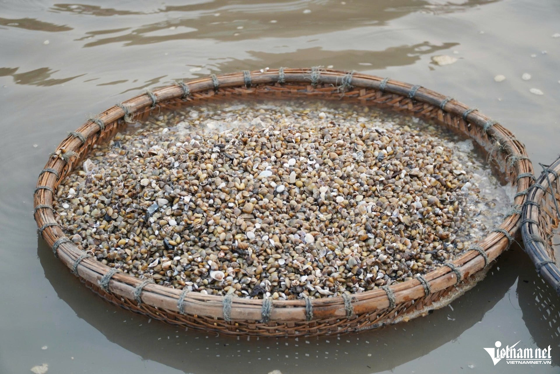 W-làng hến8.jpg
