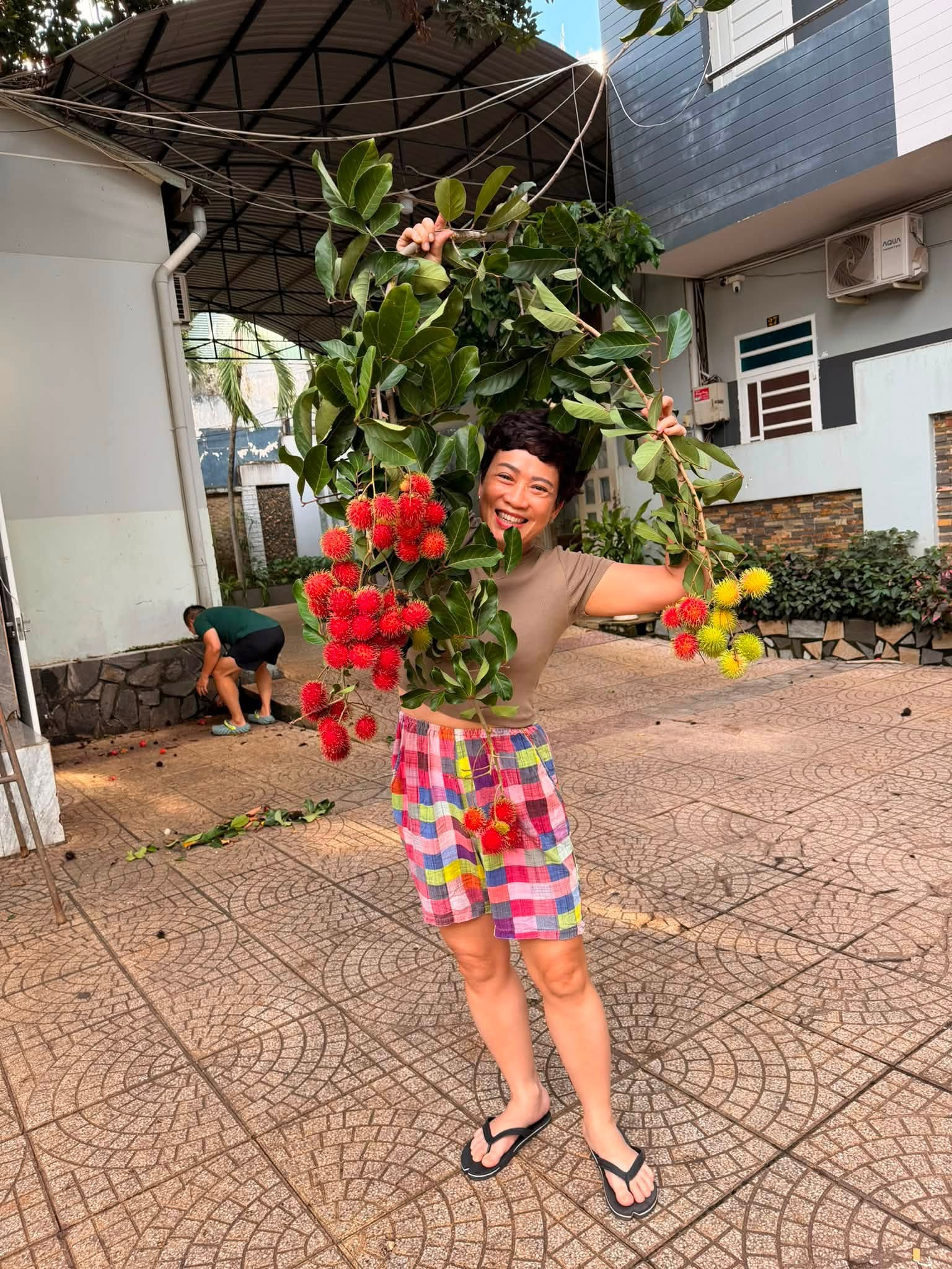 https://static-images.vnncdn.net/vps_images_publish/000001/000003/2026/7/23/739175454-27669608402677946-3742028670330965395-n-2900.jpg