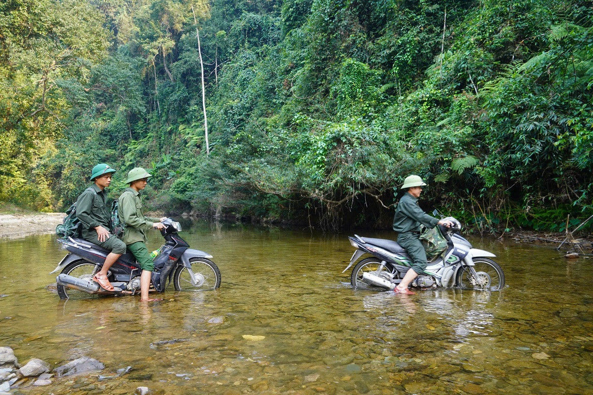ảnh 1.jpg