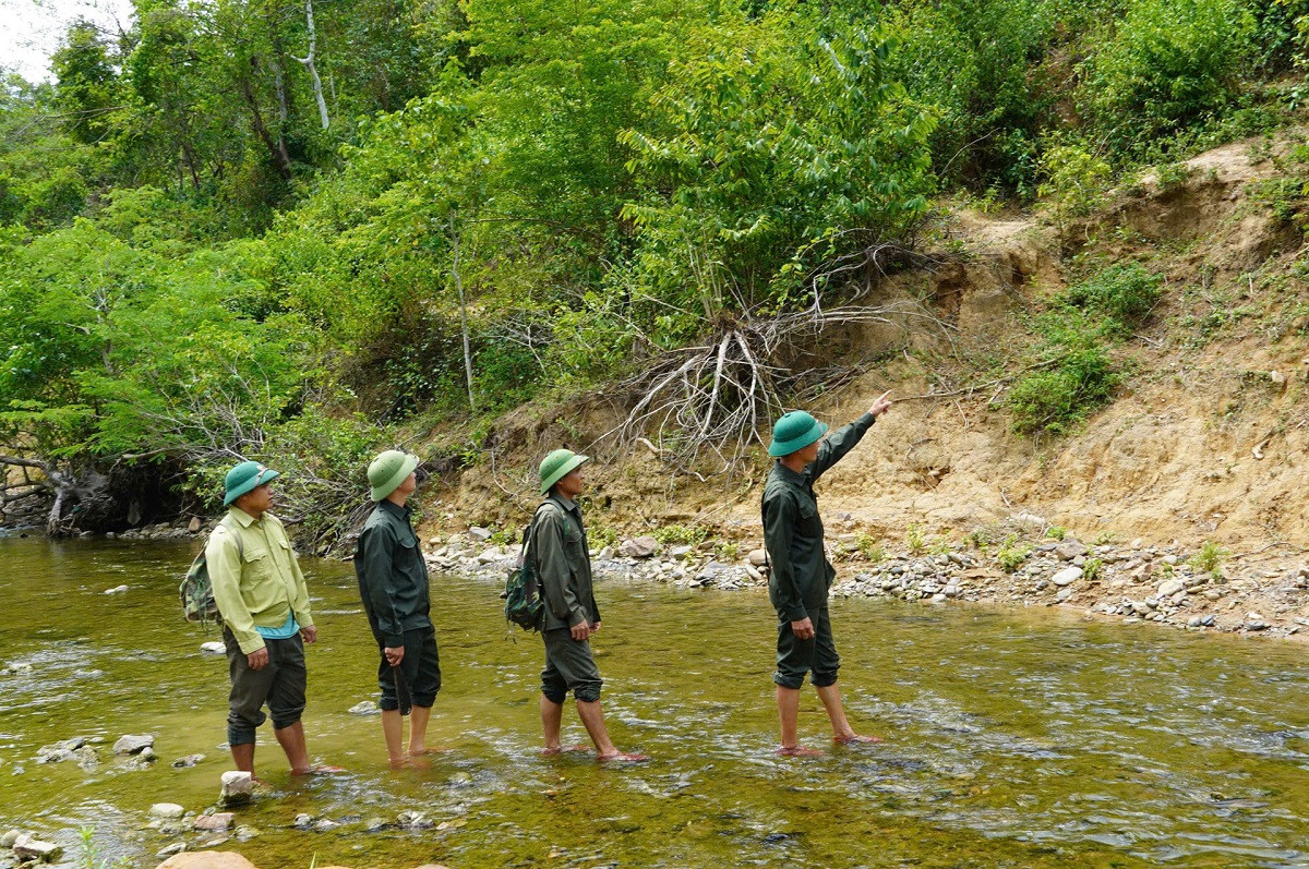 ảnh 2.jpg
