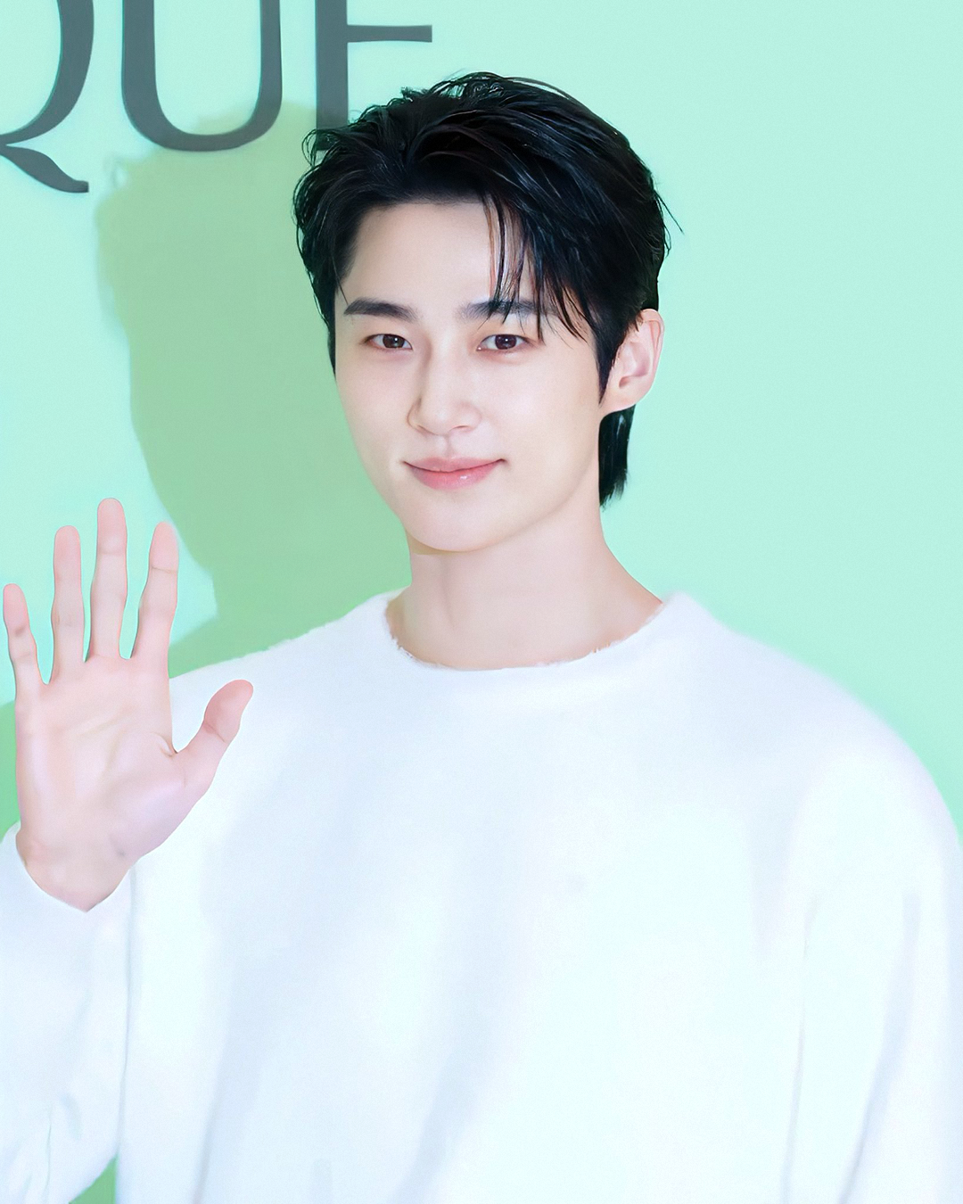 Byeon_Woo_Seok.png