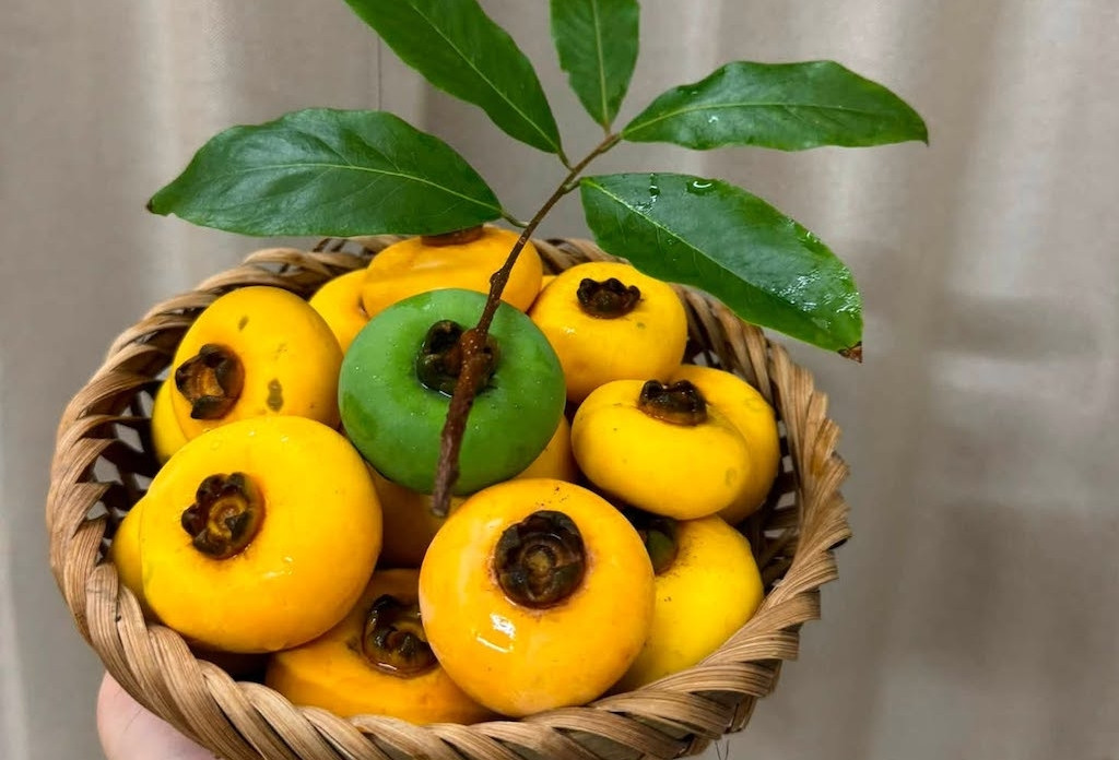 Loại quả gắn với tuổi thơ vào mùa nhưng nhóm người này không nên sử dụng