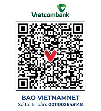 https://static-images.vnncdn.net/vps_images_publish/000001/000003/2026/7/24/vc-196-ba-minh-2905.jpg