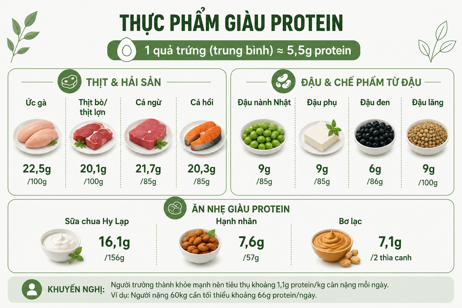 dam protein.jpg