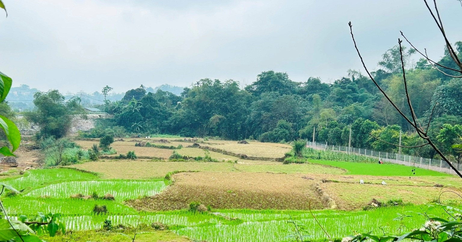 Thừa kế đất của người có công, con có được giảm tiền sử dụng đất?