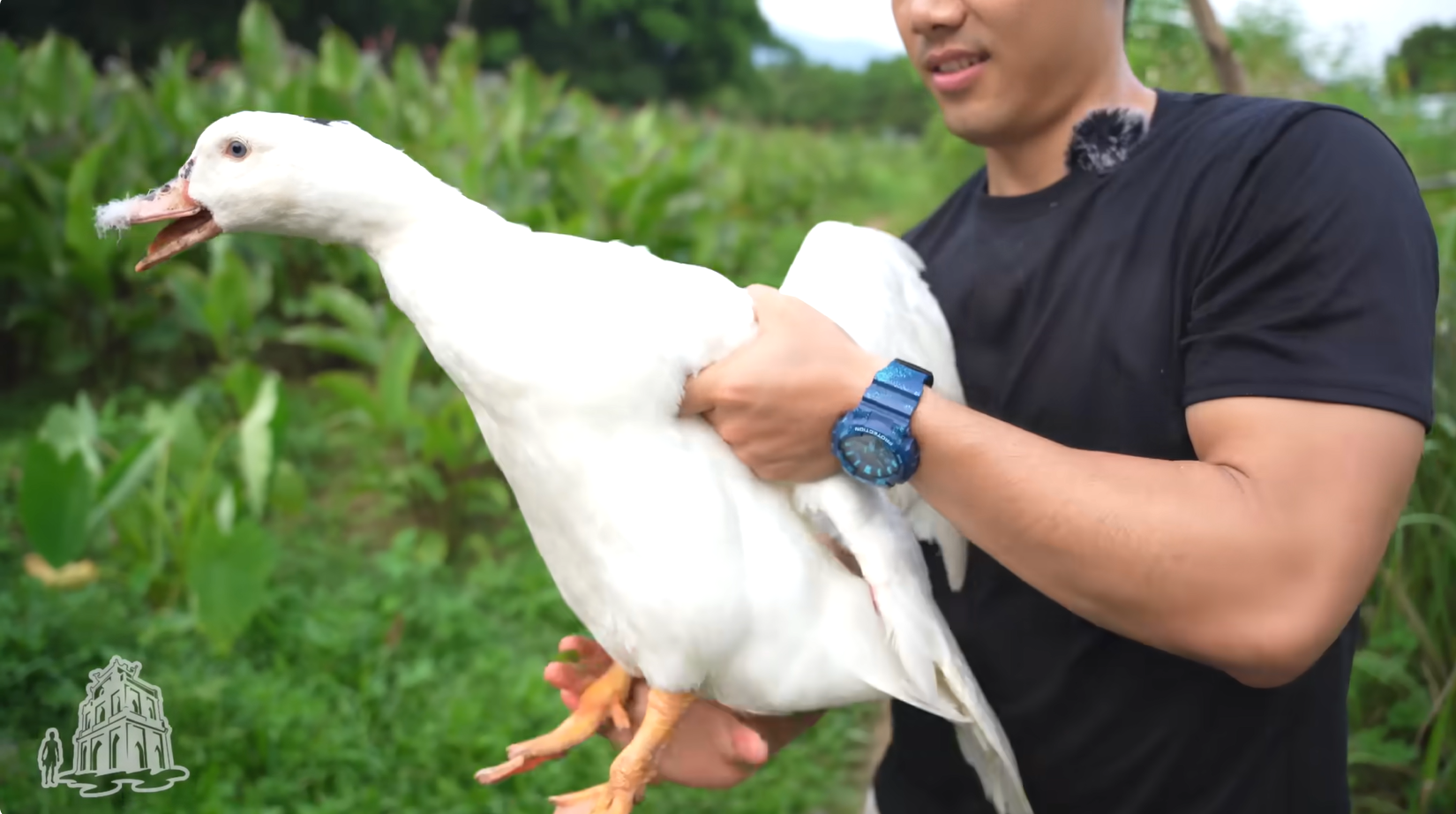 Món 'Nửa Vịt Nửa Ngan' Có Tên Gọi Lạ Lùng Là Đặc Sản Của Địa Phương Nào? 10 Challenge Me 1391