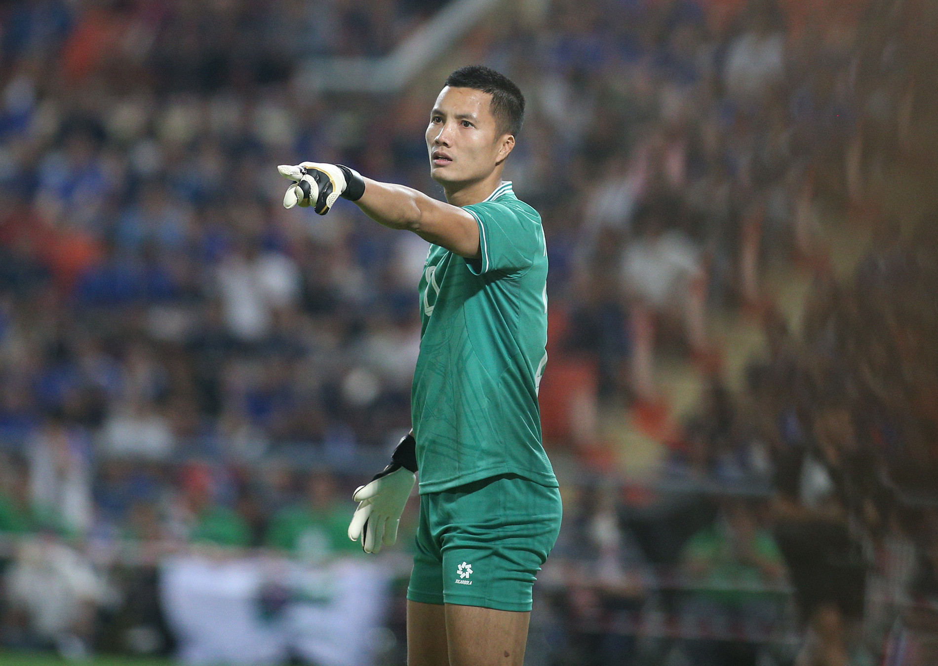 dinh trieu.JPG
