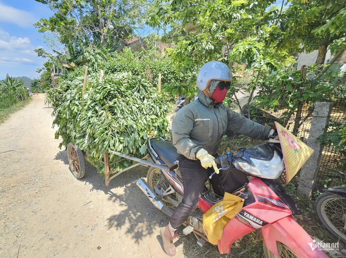 W-anh 5.jpg