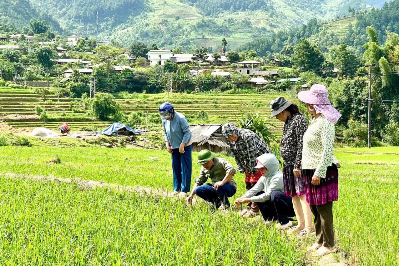 Thanh Hóa: Bộ tiêu chí nông thôn mới thúc đẩy giảm nghèo thông tin