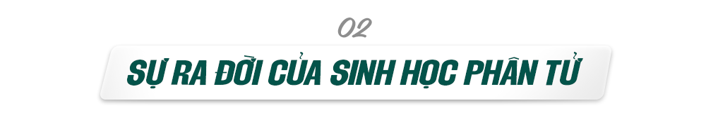 tit phu 2.png