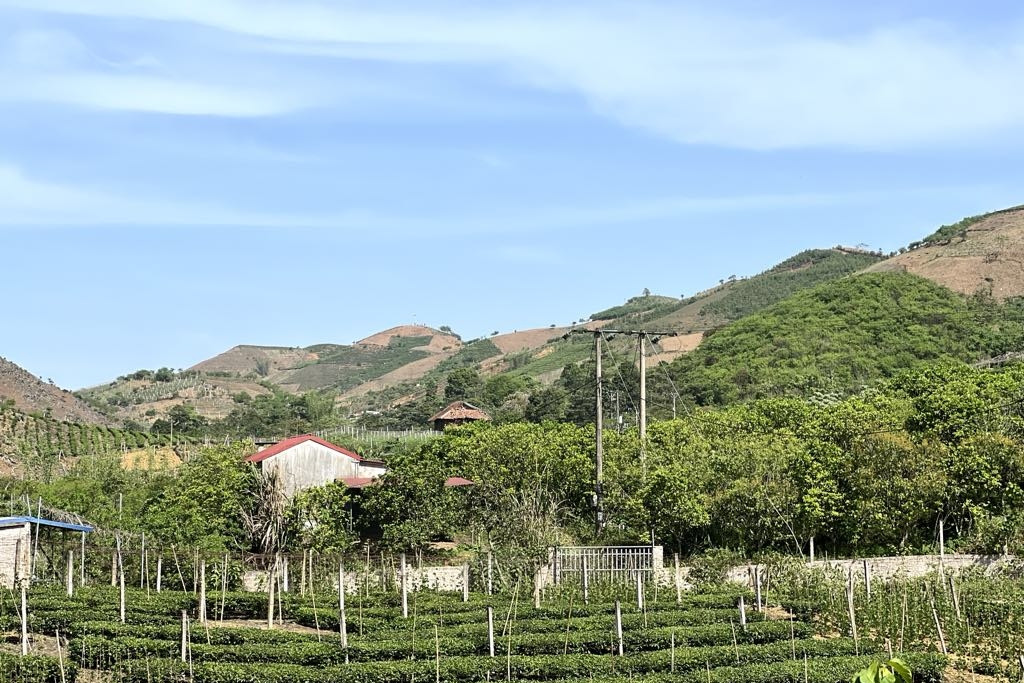 Trợ lý ảo góp sức giảm nghèo thông tin cho nông dân Điện Biên