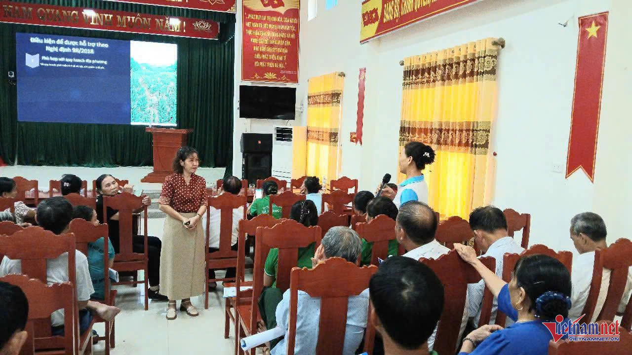 W-anh tin hoang loc.jpg