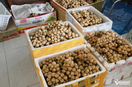 W-Bòn Bơn8.jpg