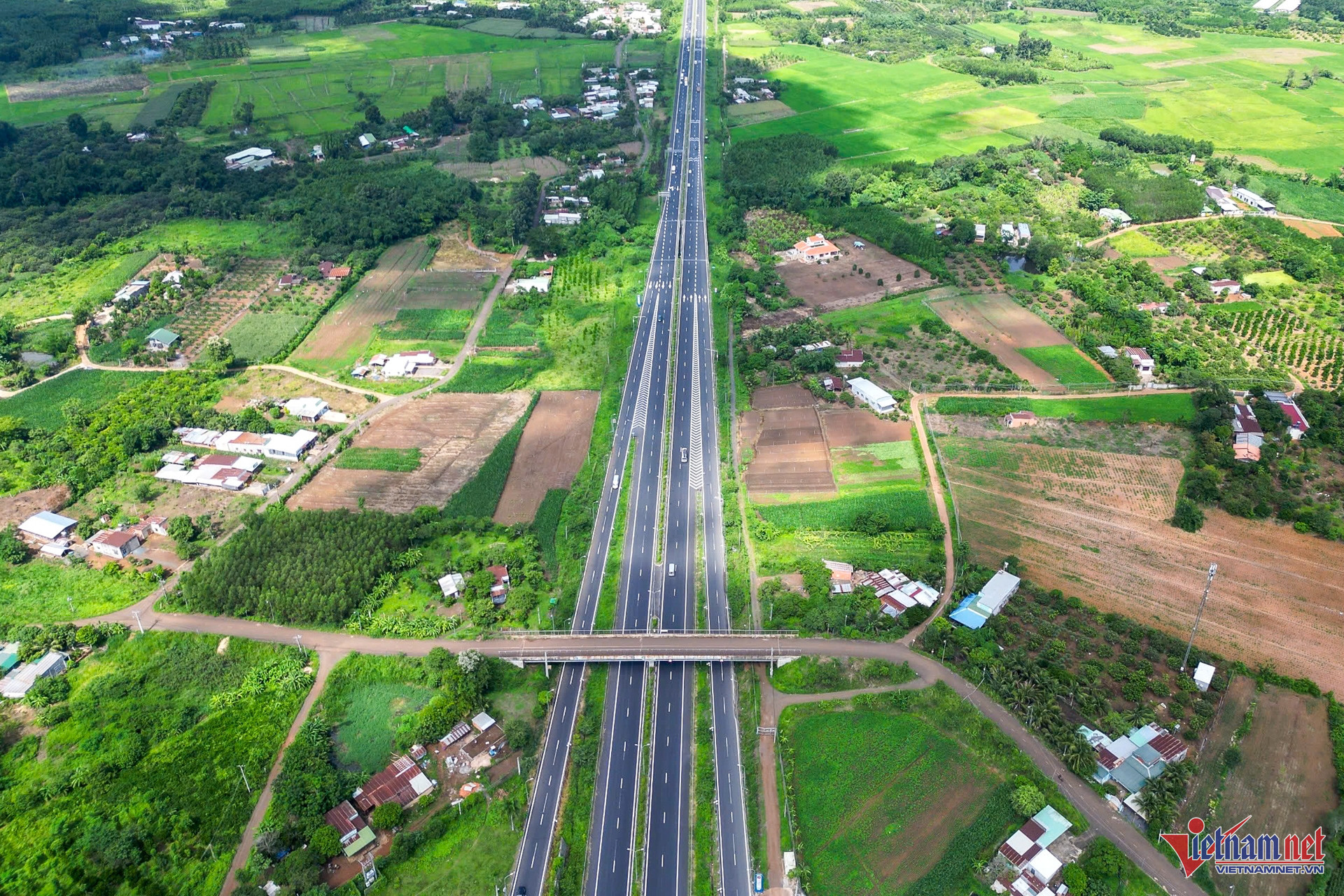 W-Đồng Nai 14.jpg