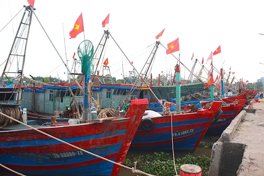hung yen cam bien tu 16h ngay 37 de ung pho bao maysak 2310.avif