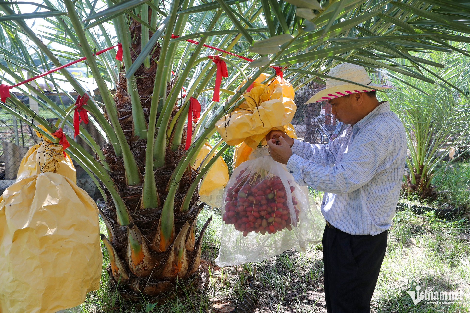 W-Cay cha laIMG_8818.jpg