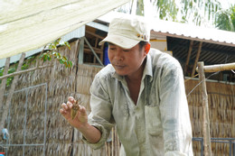 Cà Cuống 13.jpg