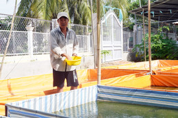 Cà Cuống 8.jpg