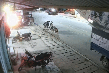 Động đất mạnh 3,6 độ tại Cao Bằng
