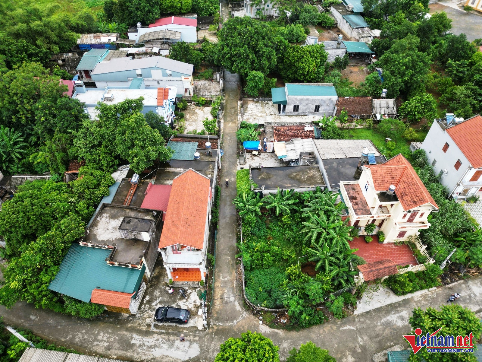W-sào Lâm 1.jpg