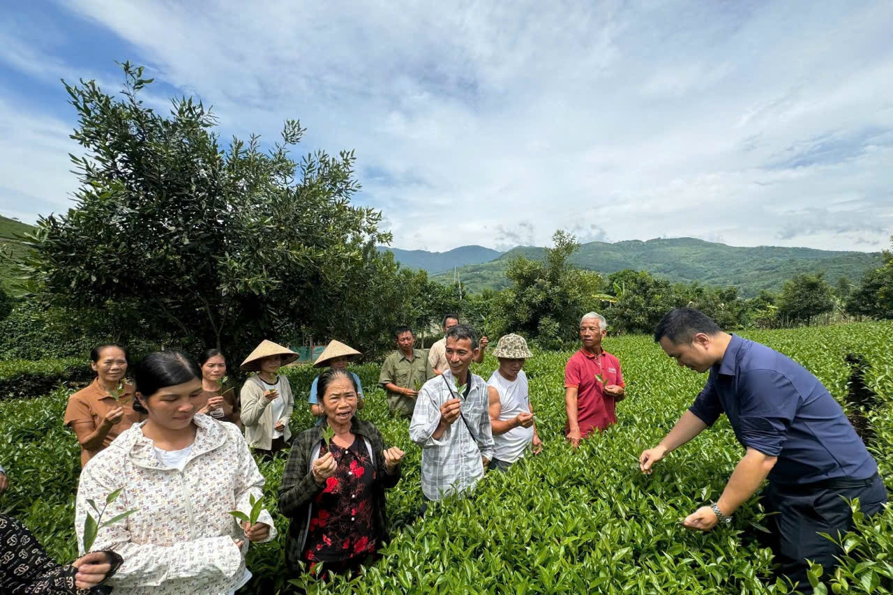 Đẩy mạnh phổ biến kiến thức, giảm nghèo thông tin về an toàn thực phẩm
