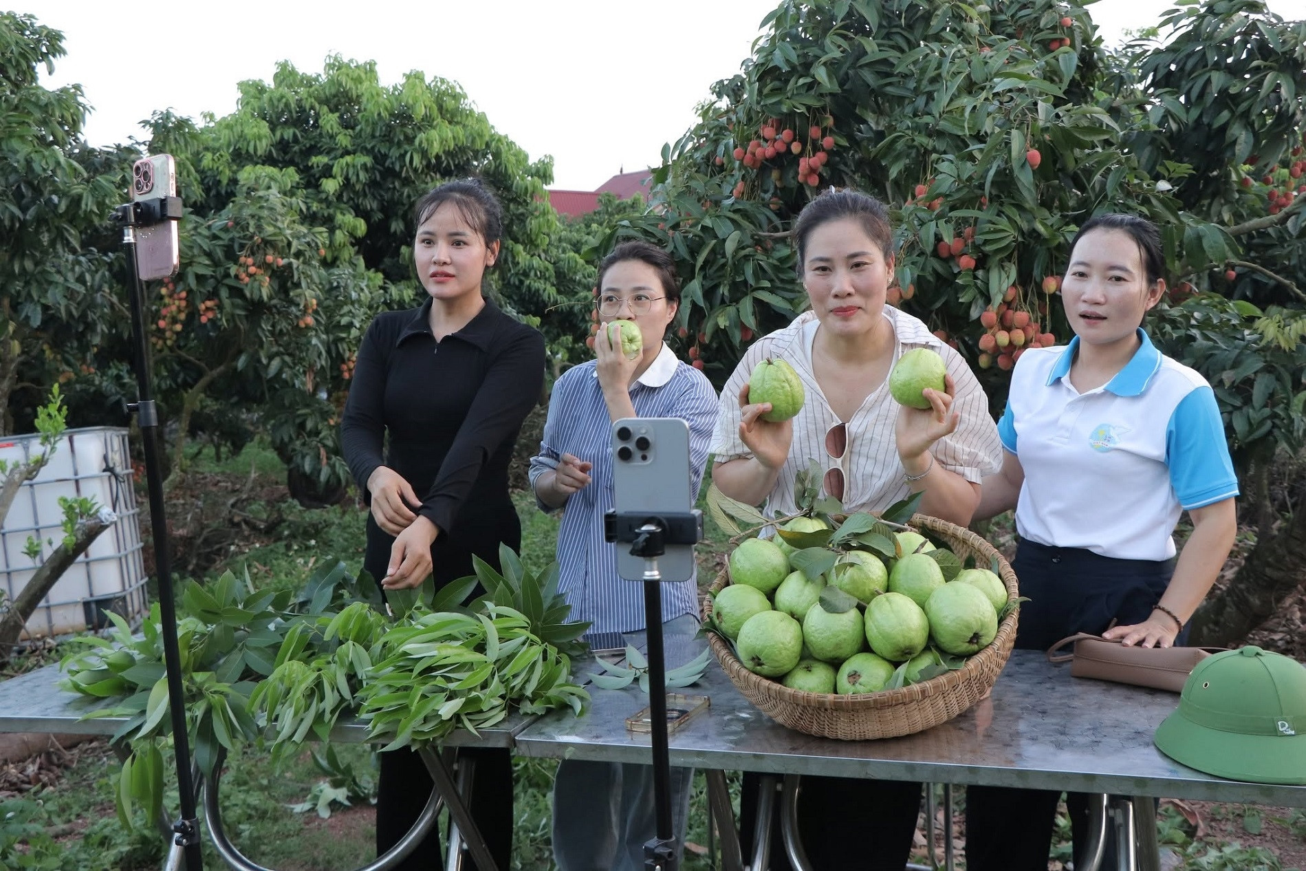 Giảm nghèo thông tin cho nông dân, livestream ngay tại ruộng để bán hàng