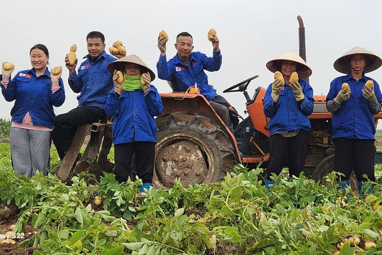 Hải Phòng: Xây dựng thương hiệu, giảm nghèo thông tin để nông sản vươn xa