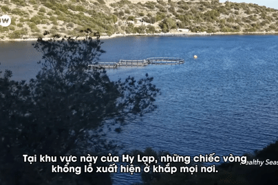 Hiểm họa từ 