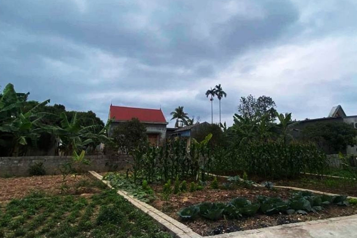 Lần nào nhờ đưa đón, con rể cũng tạt vào cây xăng, lý do khiến mẹ vợ nghẹn lòng